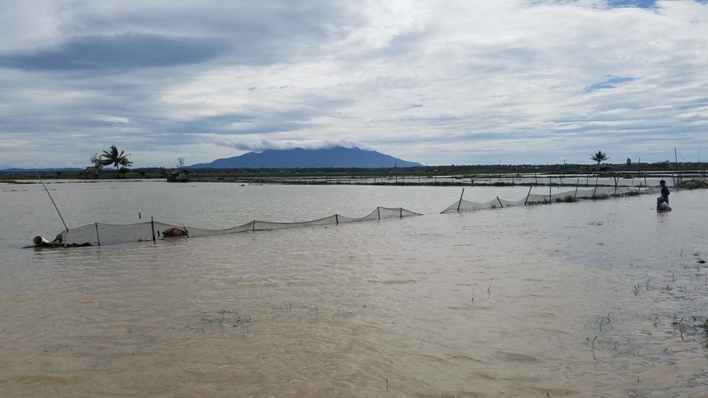 Pindah Perlu Biaya, Tak Pindah Dihantam Abrasi