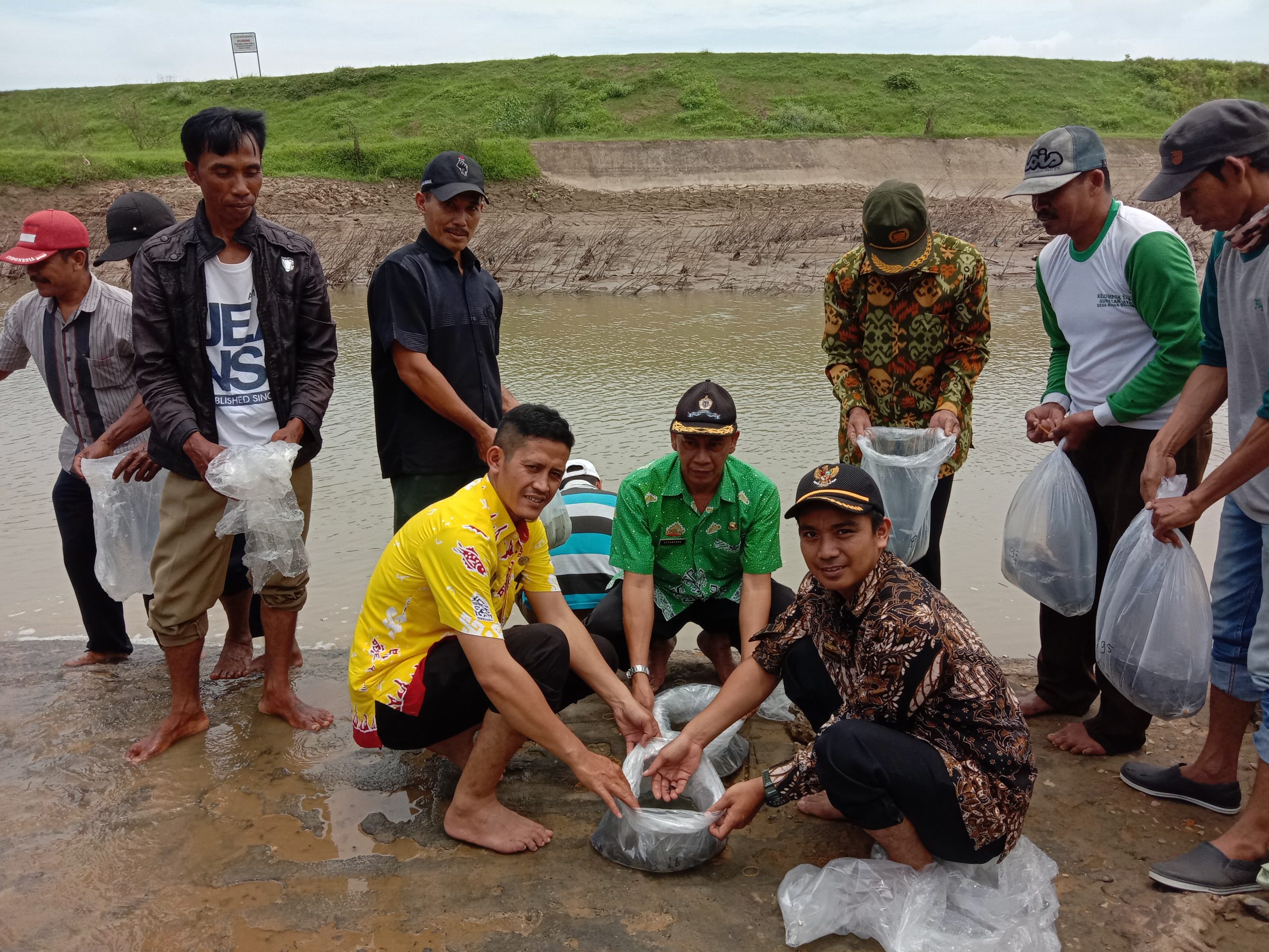 Tebar 100 Ribu Benih Ikan di Way Sekampung