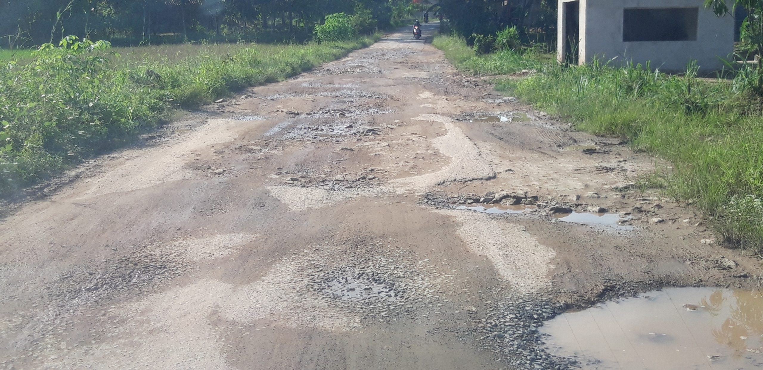 Natar Zonk Pembangunan Jalan