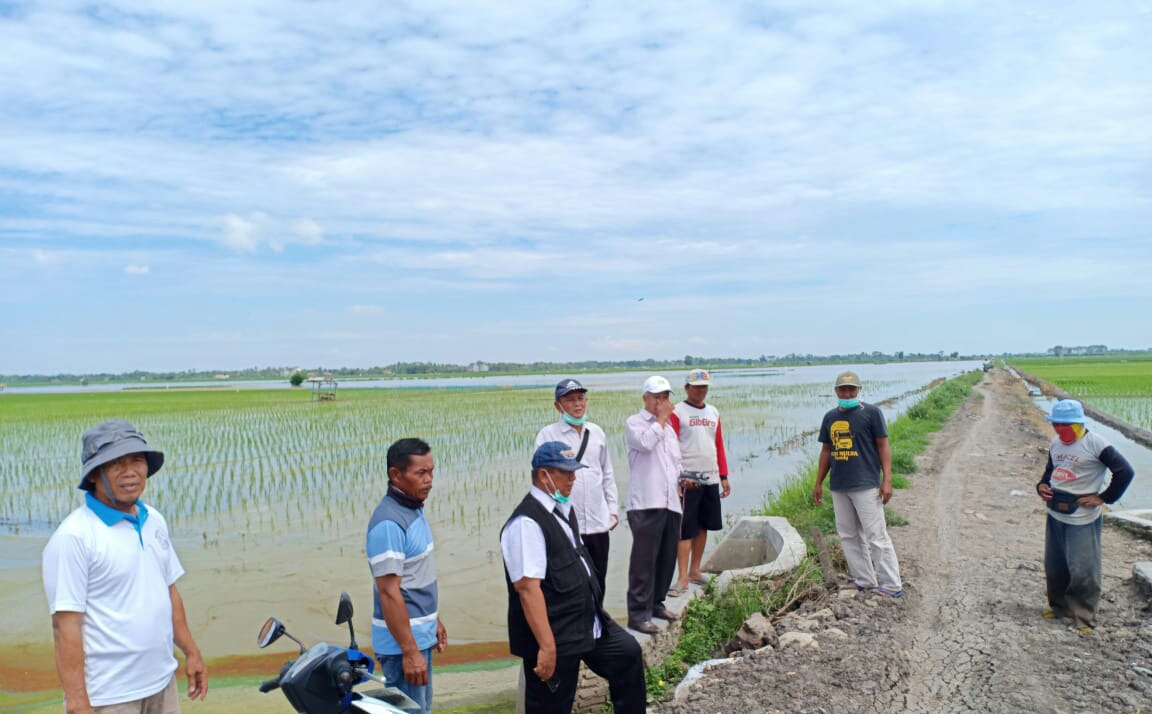 Petani Didata Antisipasi Pademi