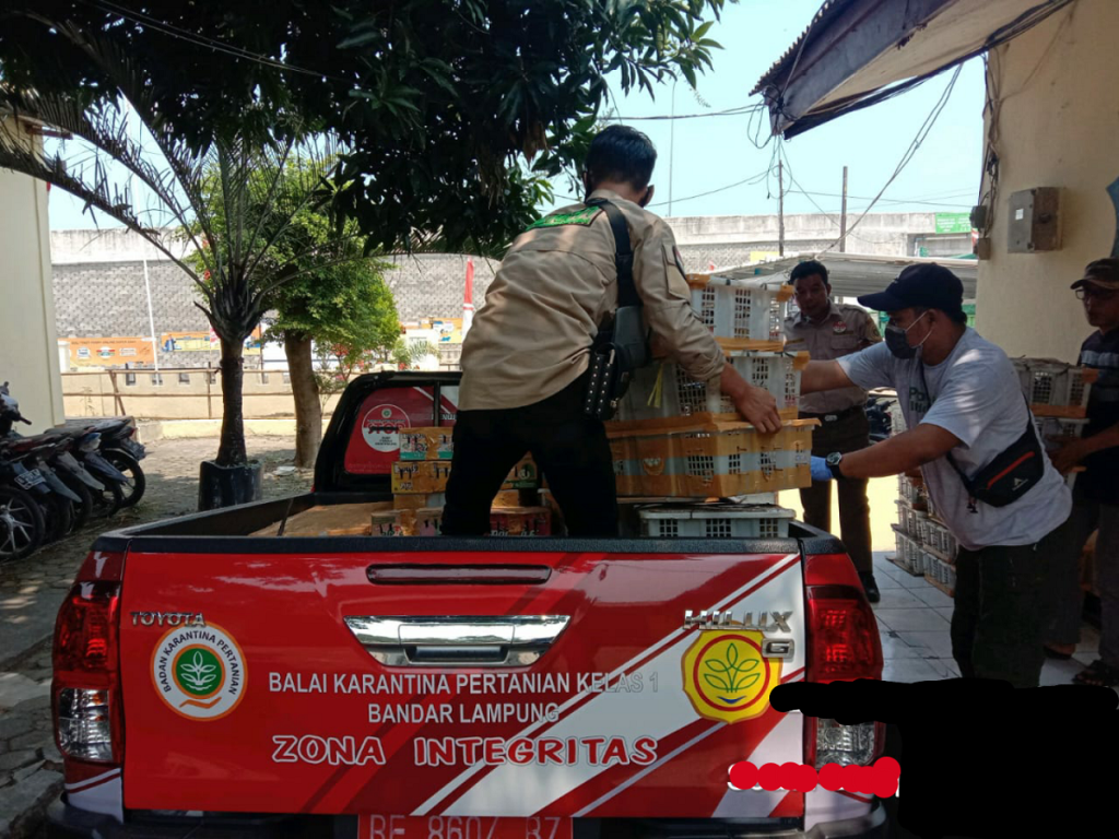 Nanang Minta Izin Semen Tiga Roda Ditelaah