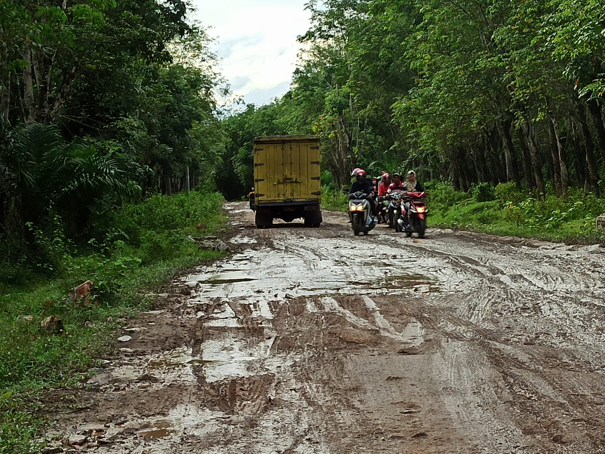 Sawah Palas Diklaim Aman dari Puso