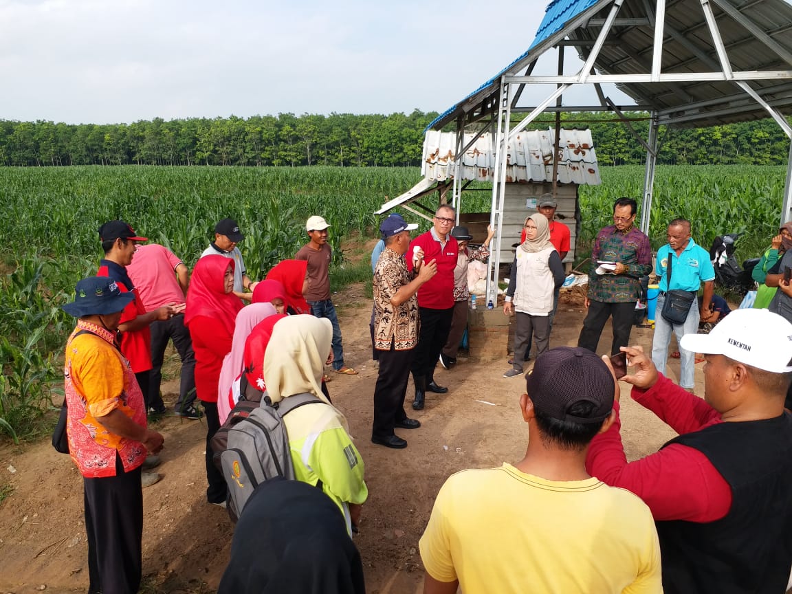 Puluhan Hektar Sawah Terendam Banjir