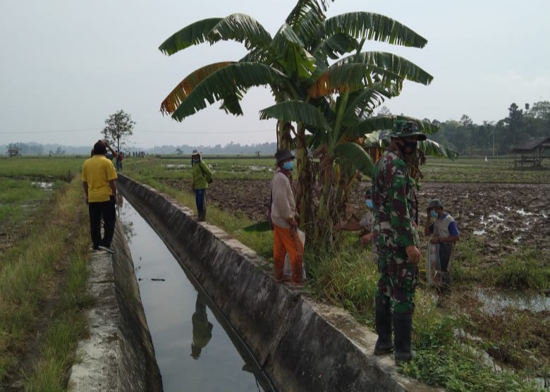 DTPHP Ajak Petani Kendalikan Hama Tikus