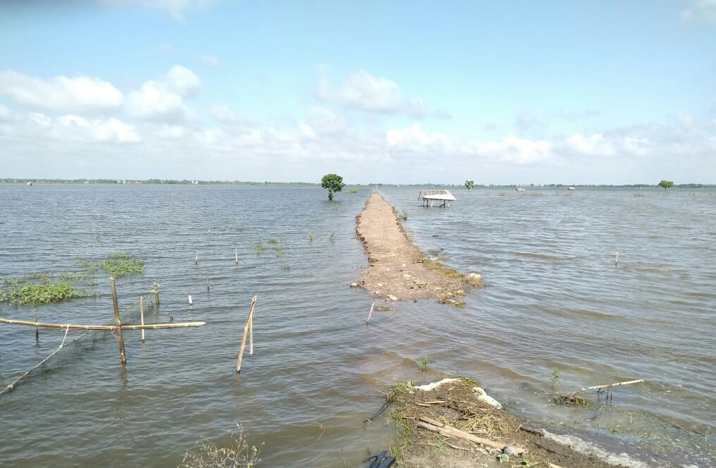 Petani Dihantui Luapan Way Sekampung