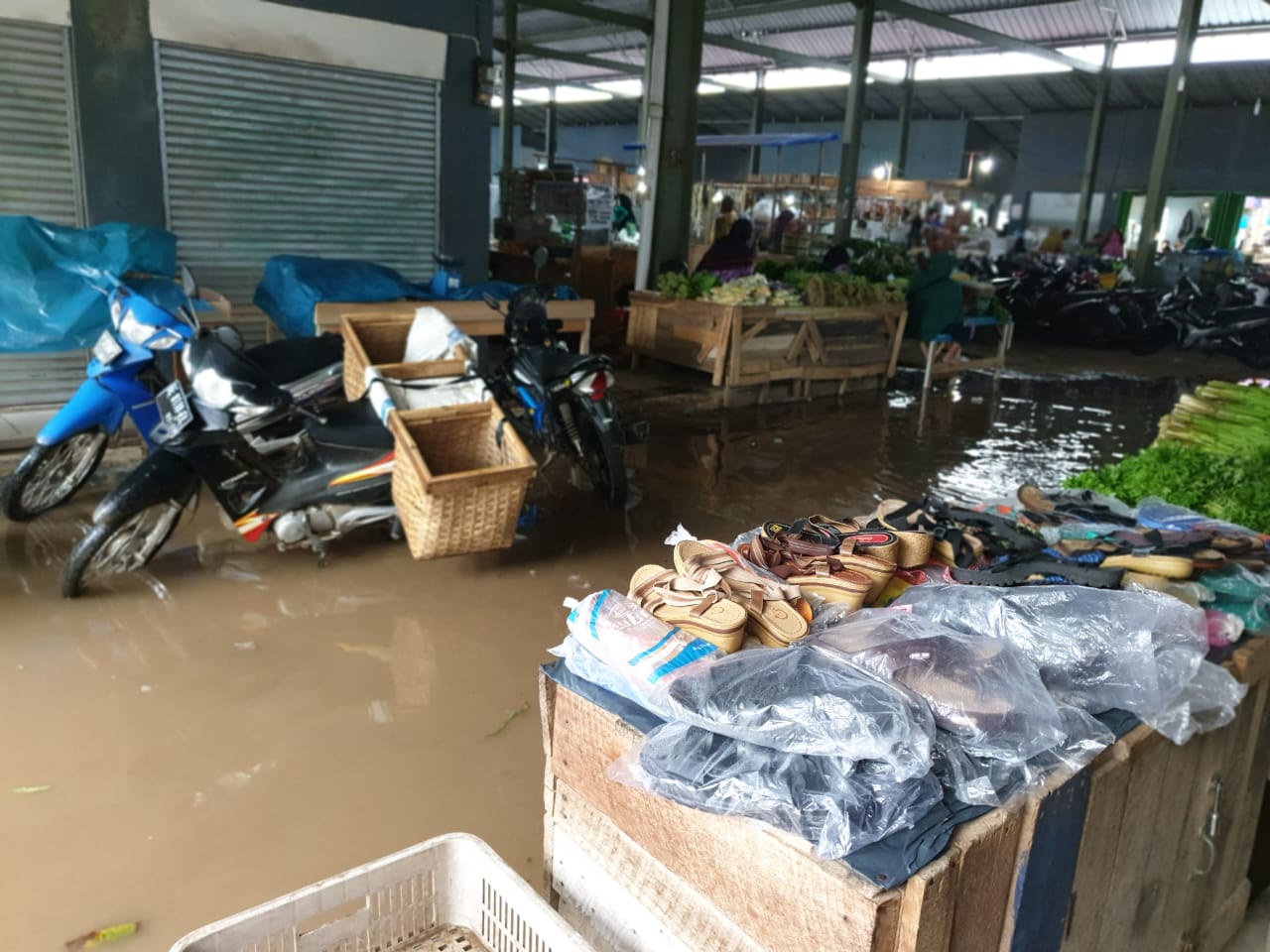 Berikan Pelatihan, Genjot Budidaya Ikan Patin di Palas