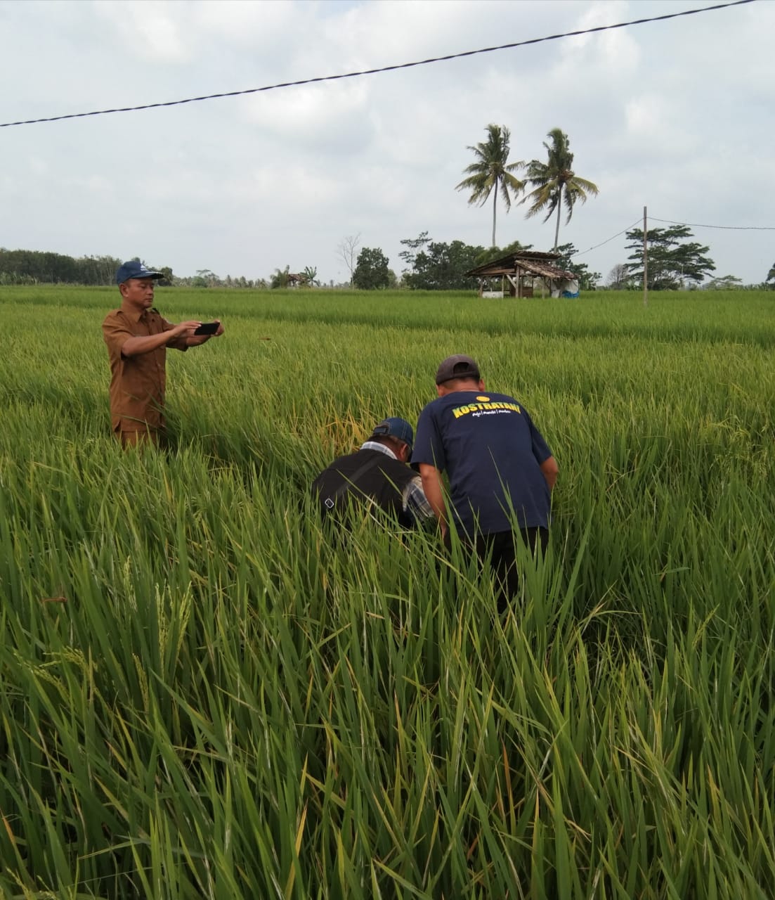 Banjir Rugikan Petani Tambak