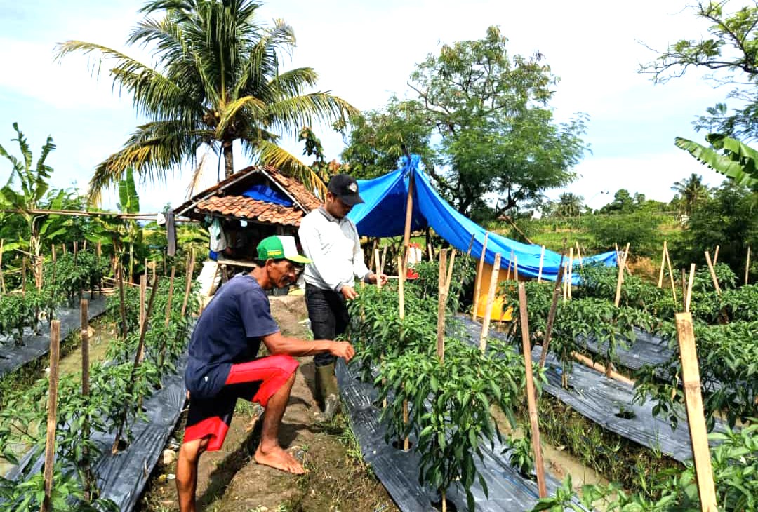 Ditinggal Anak dan Istri lalu Gantung Diri