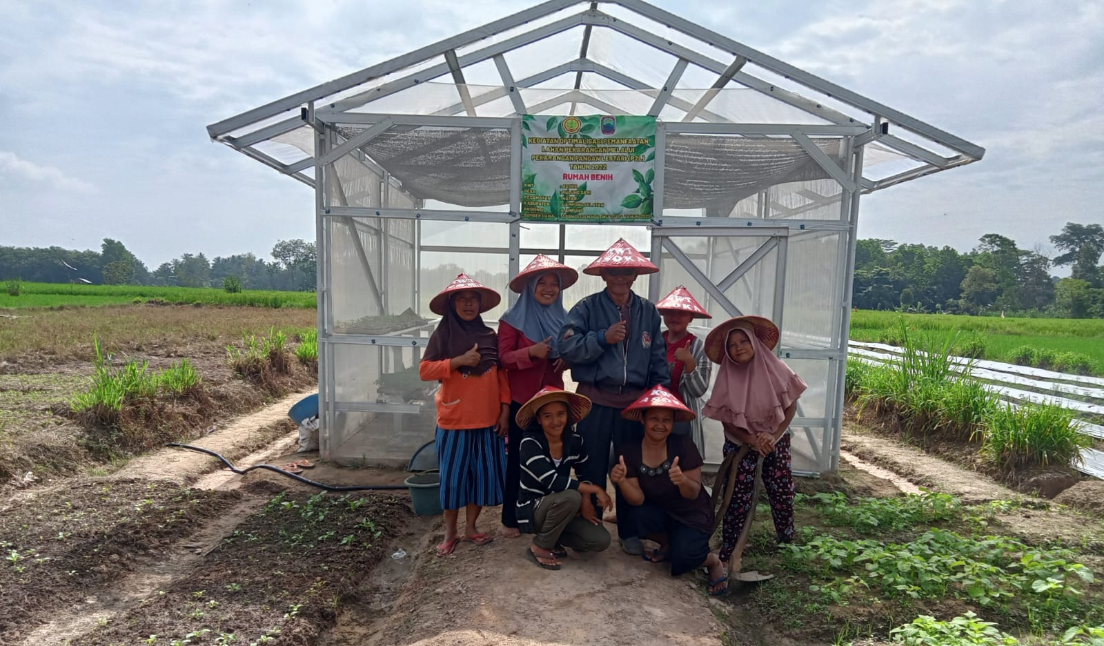 Inovasi Jempolan KWT Rulung Sari, Pekarangan Rumah Jadi Lahan Bercocok Tanam