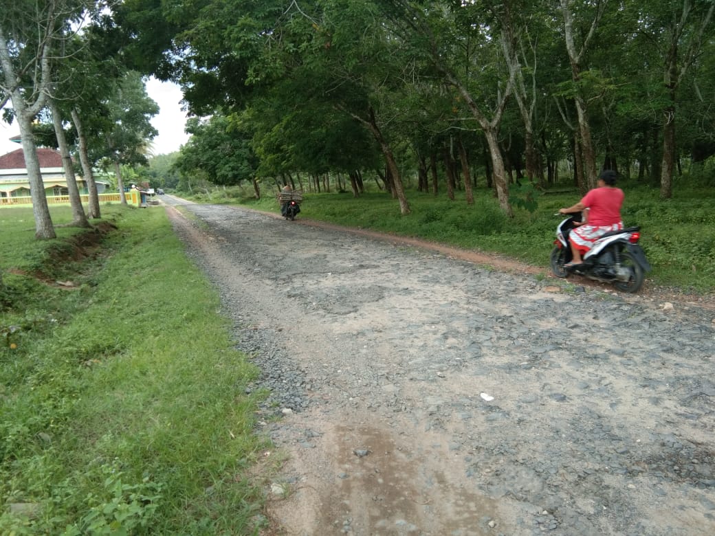 Durian Tapak Indun Rajai Kontes