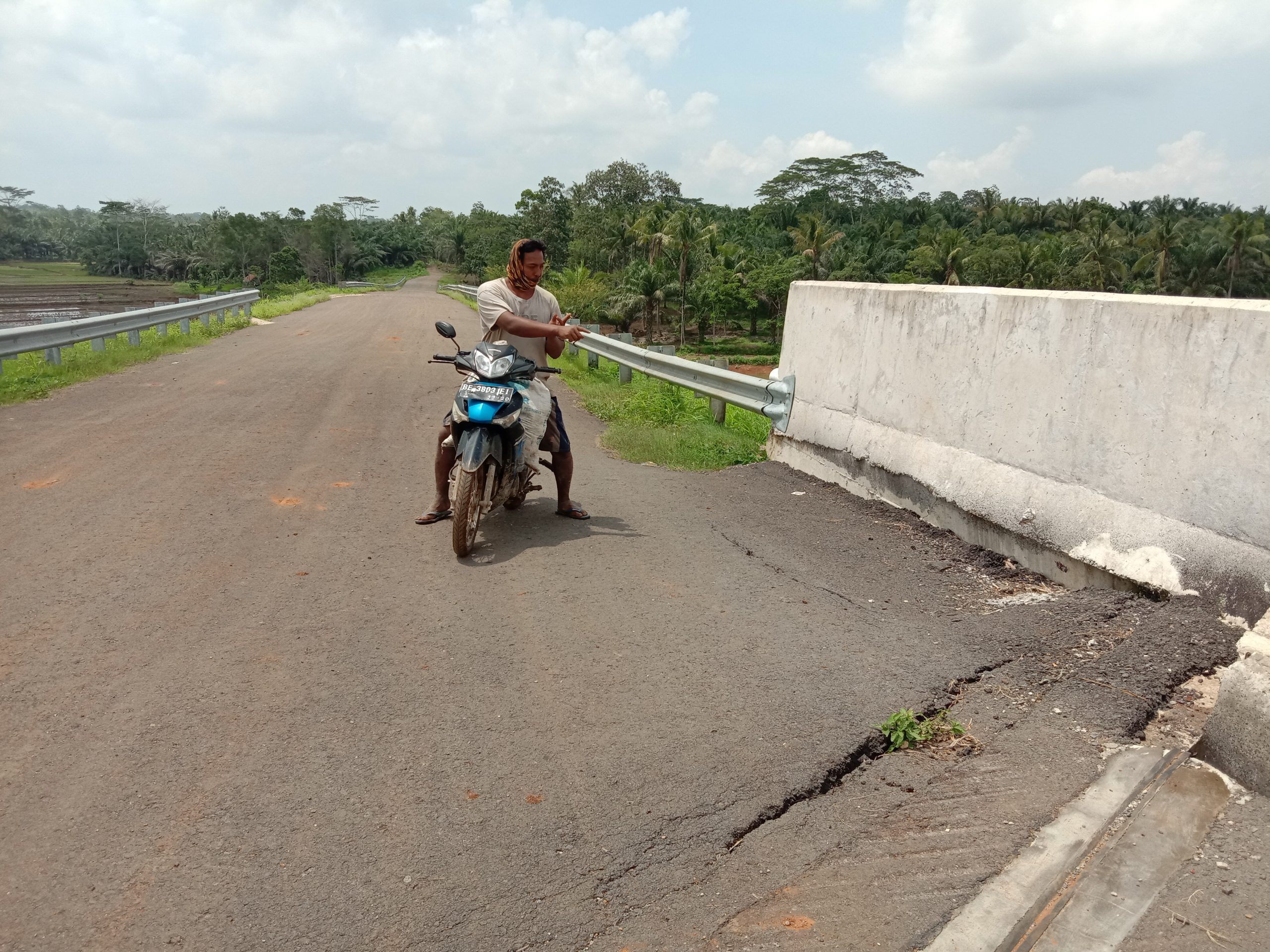 Tak Mau Rugi Alasan Petani Tunda Tanam