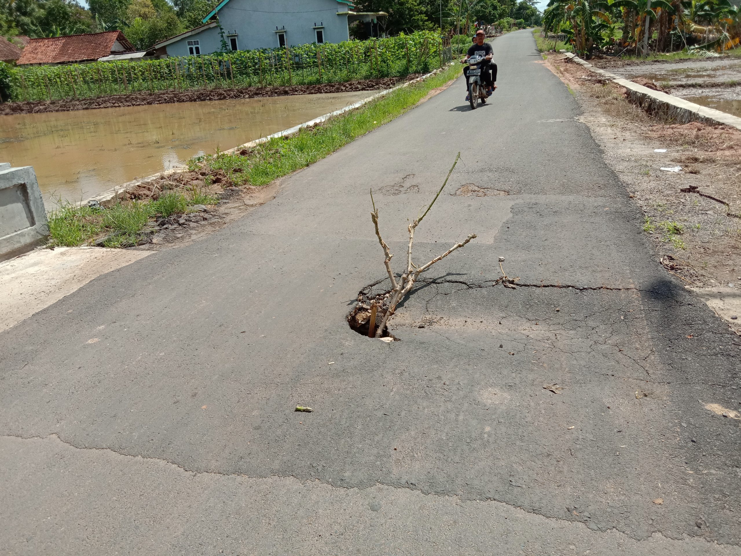 Masyarakat Diajak Cegah Pelanggaran Pilkada