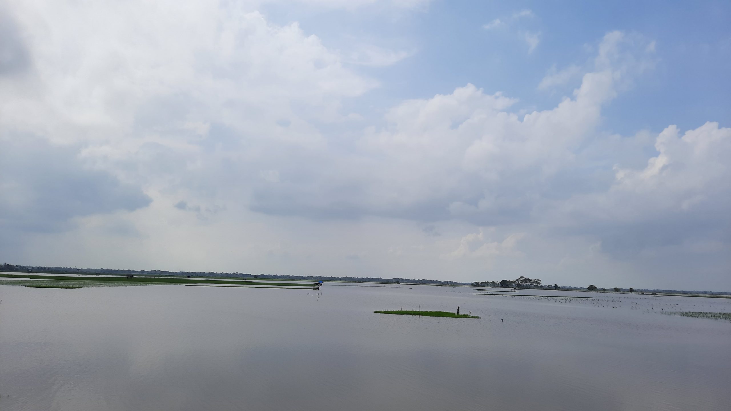 Sawah Ribuan Hektar Terendam