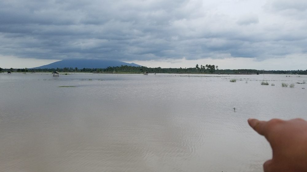 Banjir di Lumbung Pangan Meluas