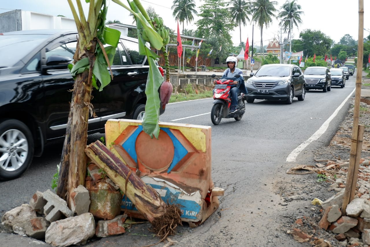 Warga Tanam Pohon di Tengah Jalan Provinsi