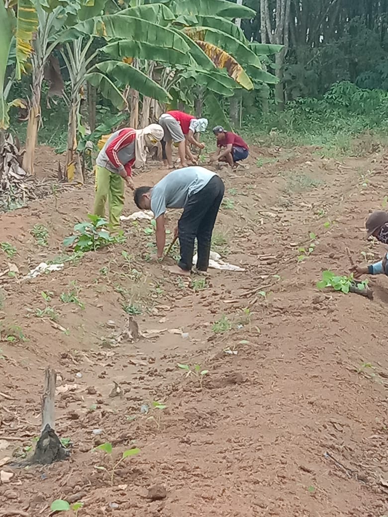 Karang Taruna Sinar Bandung Turut Serta Tingkatkan Ekonomi Masyarakat