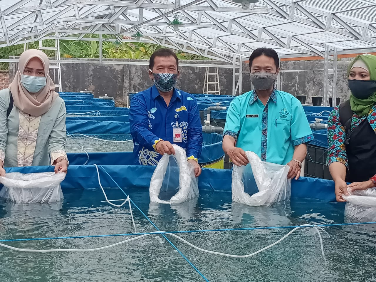 BBPBL Lampung Serahkan Bantuan Ikan Hias dan Bioflok