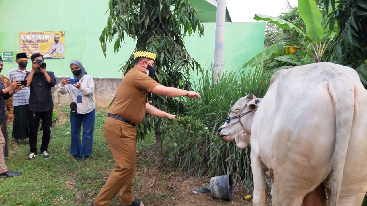 Bupati Dendi dan Baznas Serahkan 2 Ekor Sapi Qurban