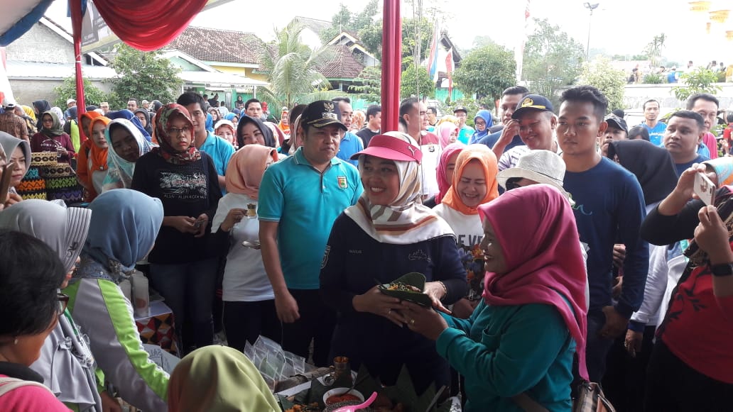 Wagub Lampung Dukung Pesawaran Jadi Kabupaten Layak Anak