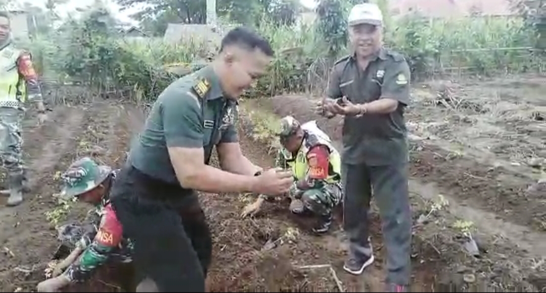 Koramil 421-01/Kedondong Bangun Kebun Percontohan