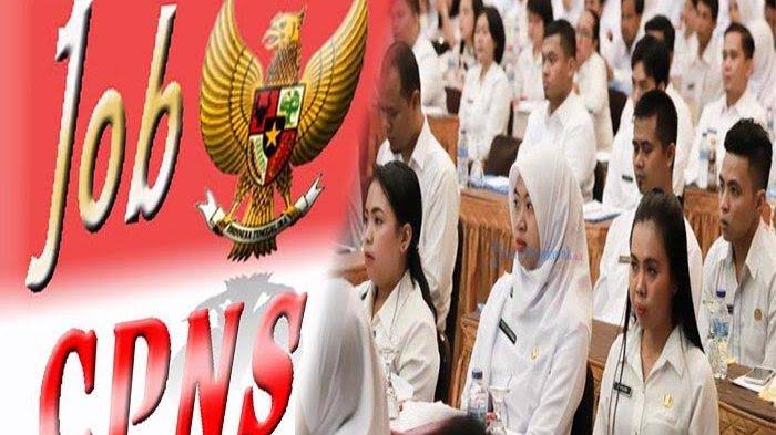 3 Formasi CPNSD Pesawaran Kosong