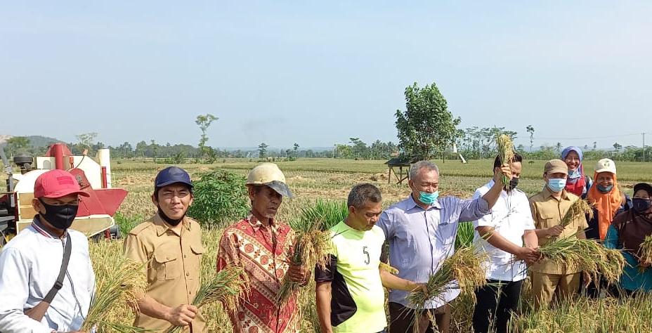 Pemkab Pesawaran Dukung Program Swasembada Pangan Nasional