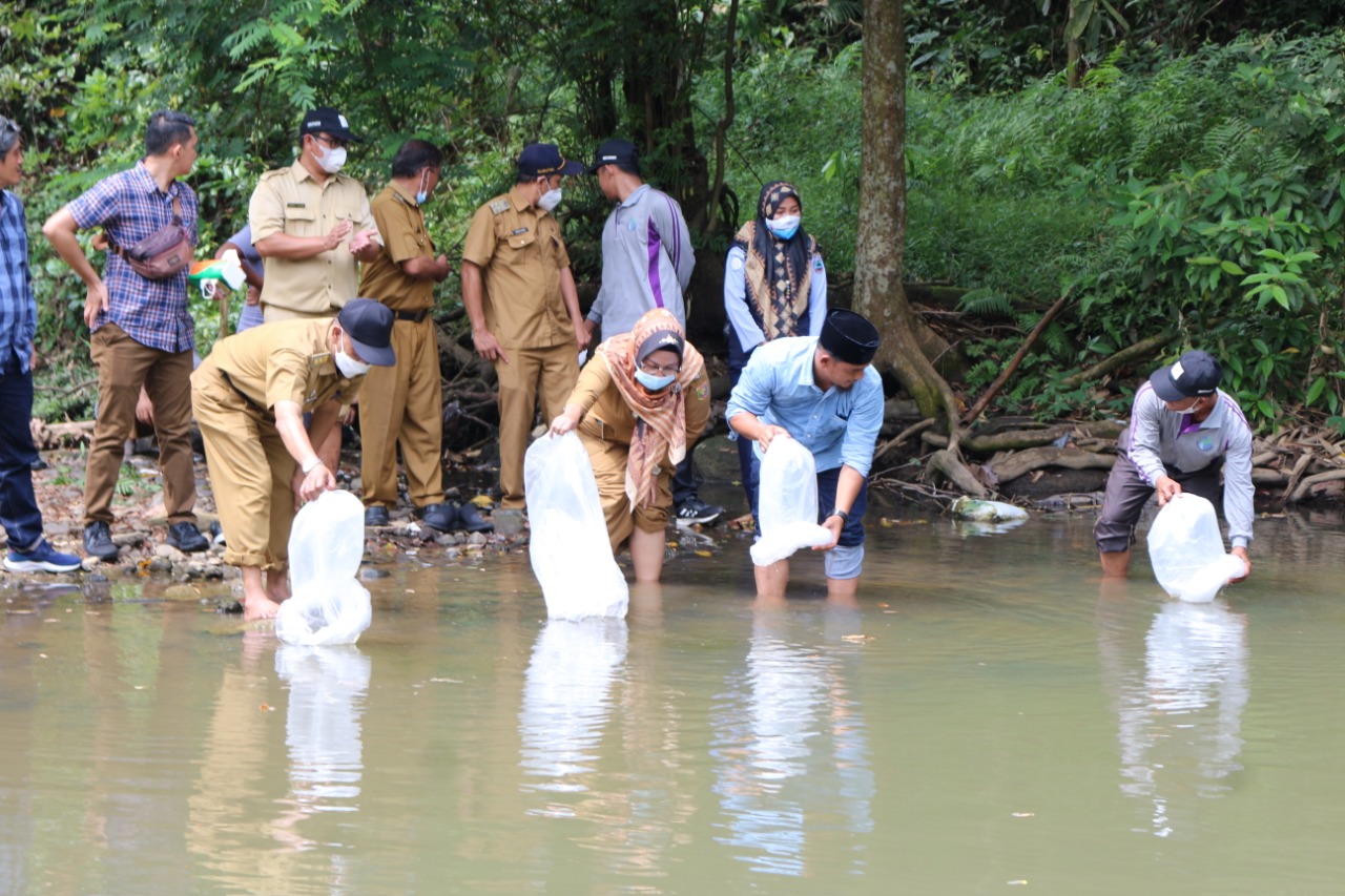 105.000 Benih Ikan Langka Ditebar ke Sungai