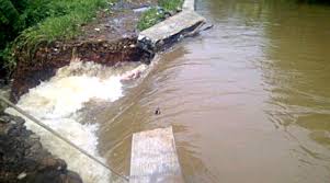 Tanggul Sungai Way Lipang Jebol, Sawah Warga di 3 Kecamatan Terendam Air