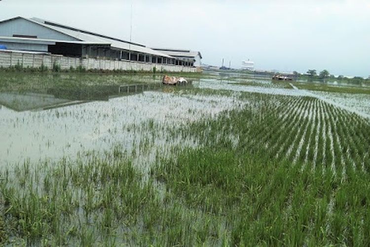 Melonjak Akhir Tahun, Perhotelan Kembali Bernafas