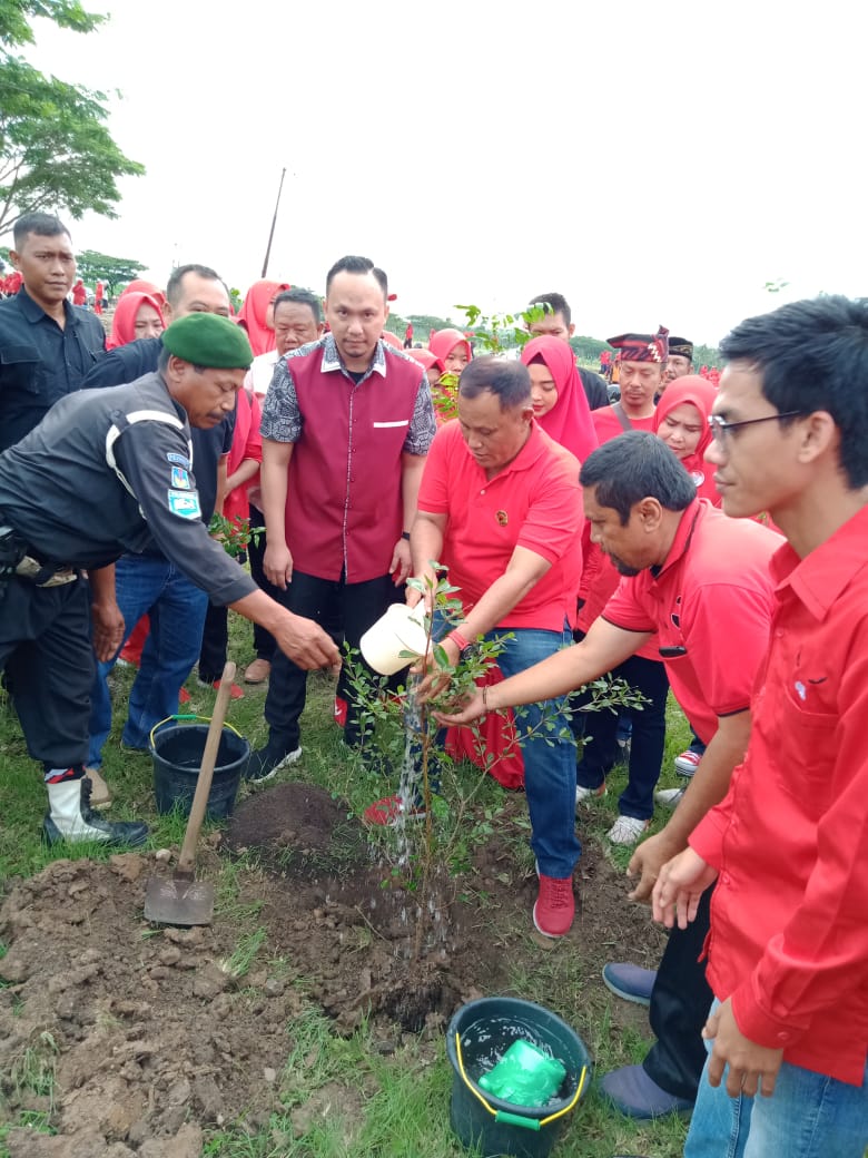 Ehem… Nanang-Pandu ‘(NP)’ Tanam Pohon Bareng