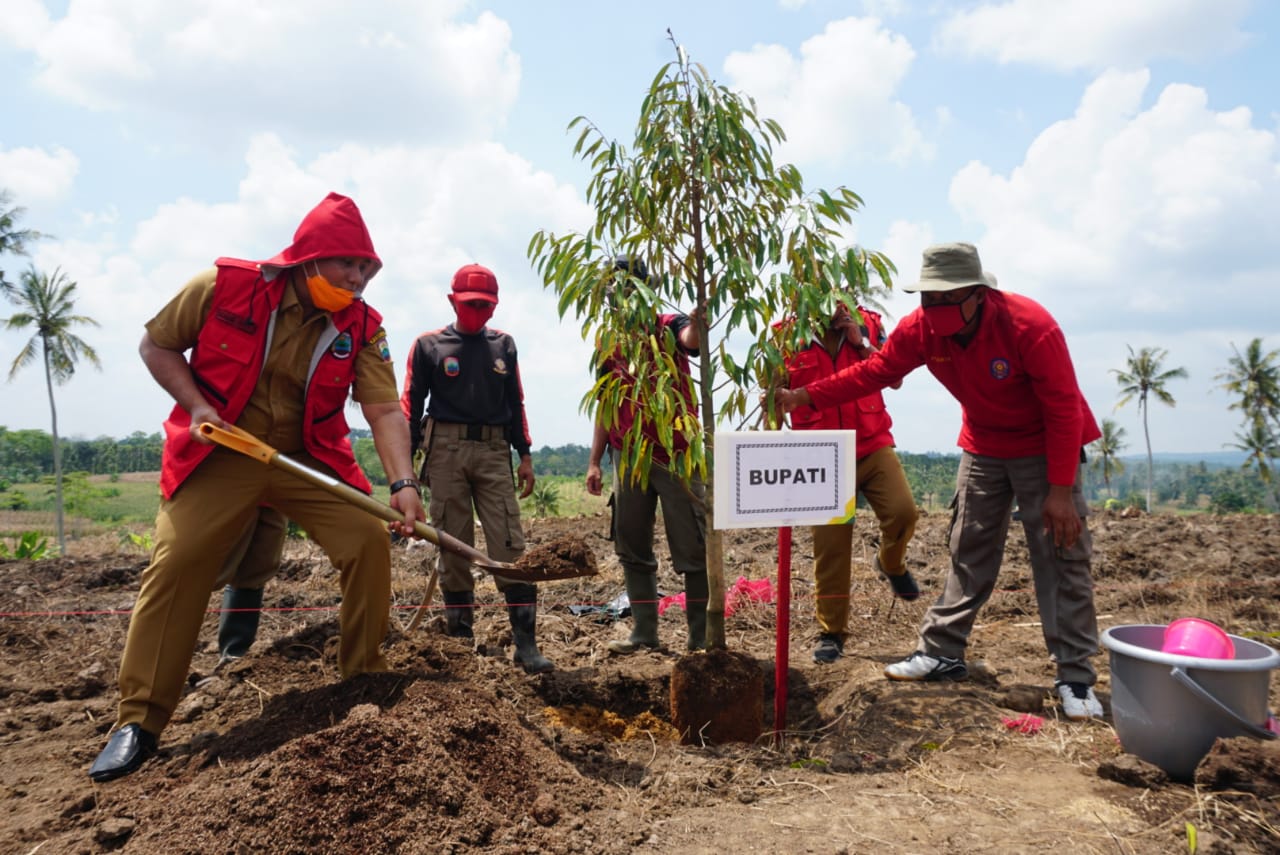 Diproyeksi Jadi Kebun Edukatif, Nanang Tanam Ratusan Pohon Durian dan Alpukat