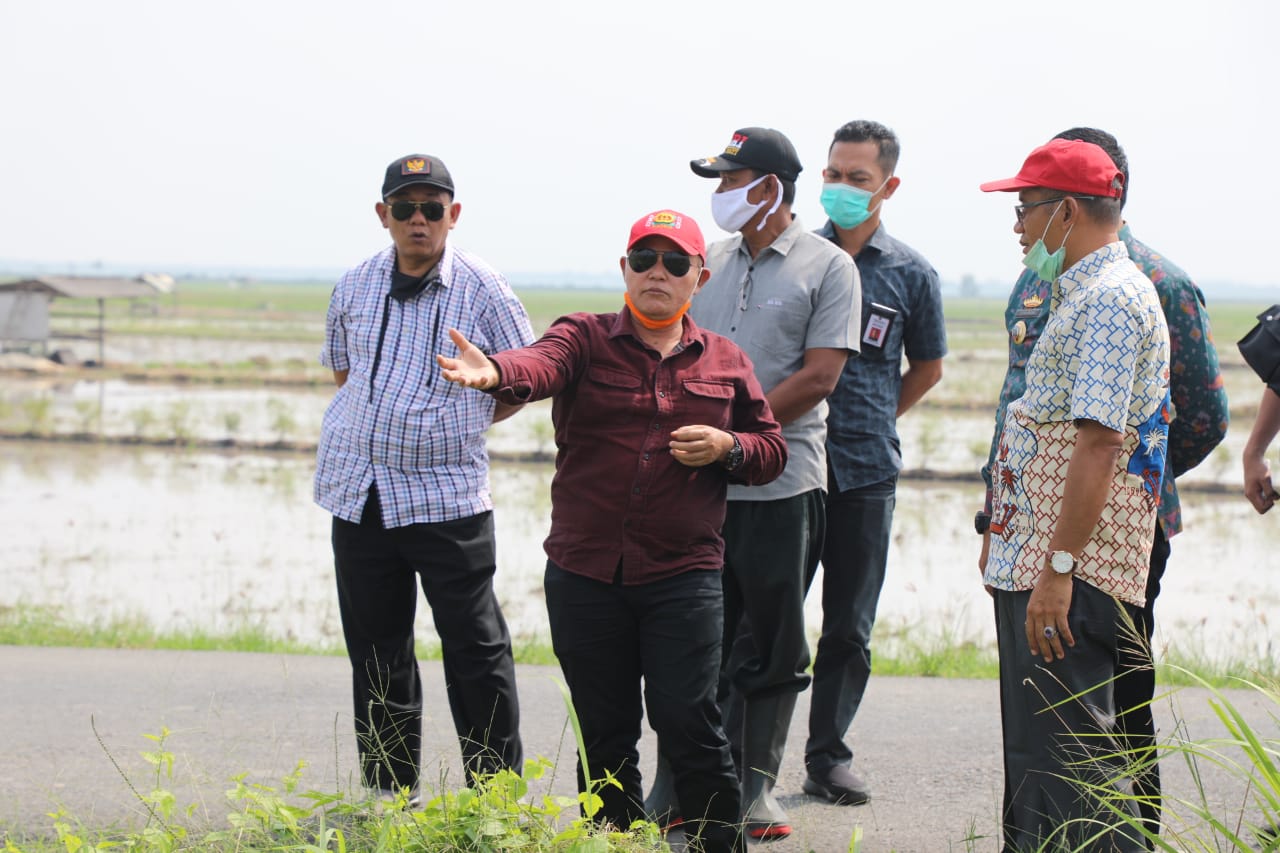 Nanang Minta Pengusaha Tambak Gotong Royong Perbaiki Tanggul Jebol di Sragi