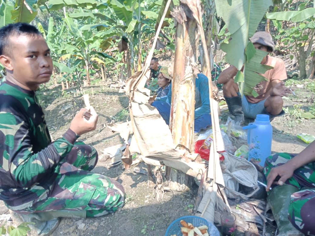 Singkong Jadi Pengganjal Perut Keroncong