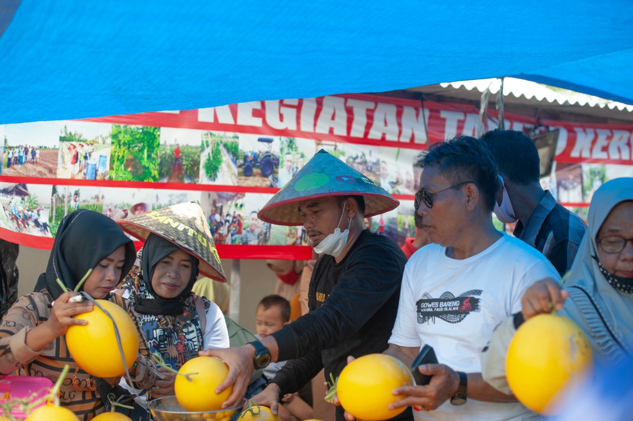 Melon Petani Ketapang Bikin Kagum Ketua Komisi II DPRD Lampung