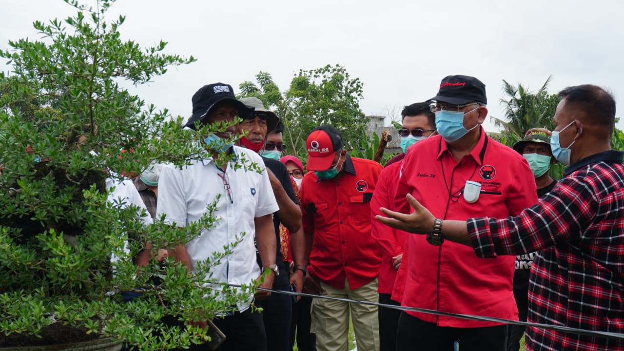 Sudin – Nanang Tanam Perdana Mangrove di Sumbernadi