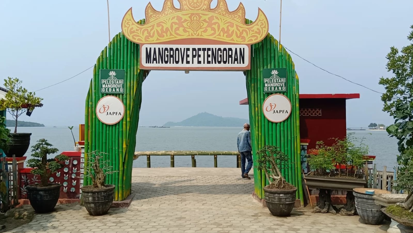 Ekowisata Mangrove Petengoran Kedepankan Pelestarian Hutan Mangrove