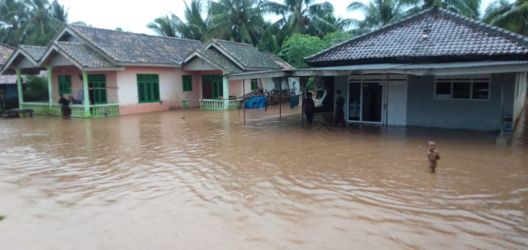 Puluhan Rumah dan Sawah Terendam Banjir di Ketapang