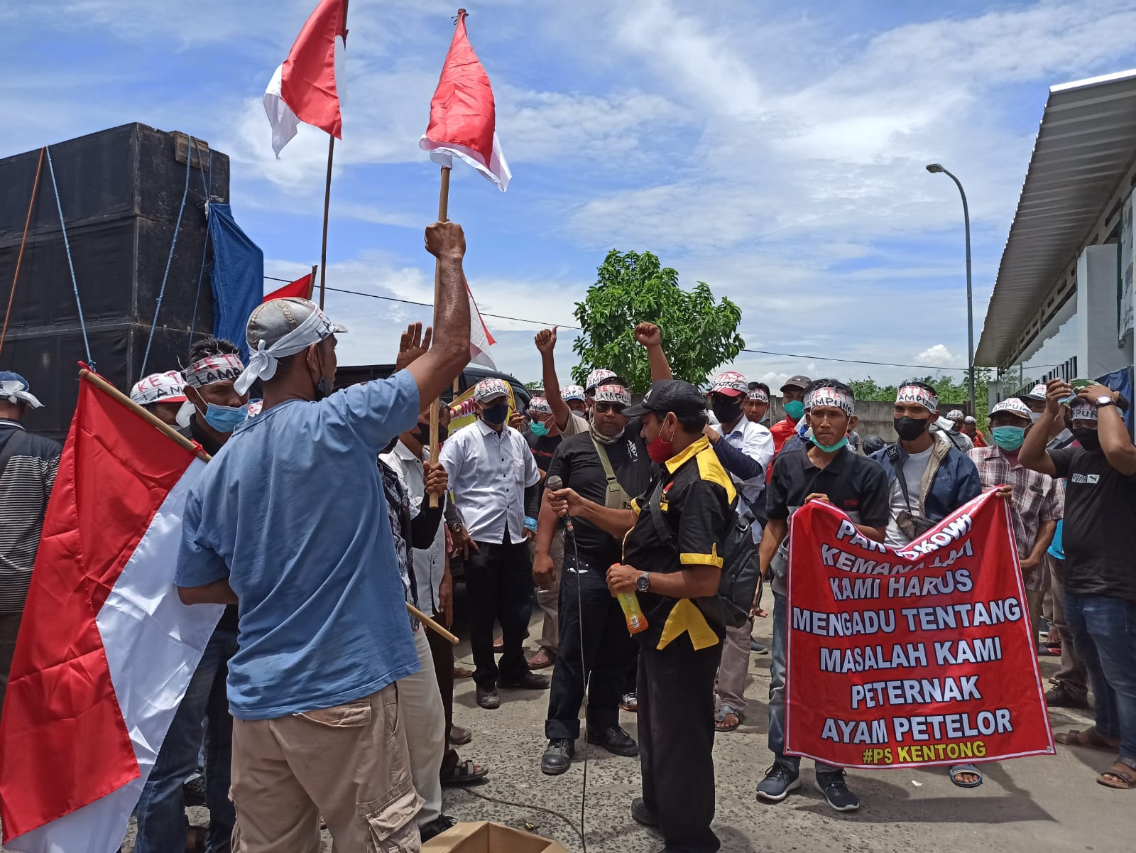 Harga Pakan Naik, Peternak Ayam di Lampung Protes ke Pabrik