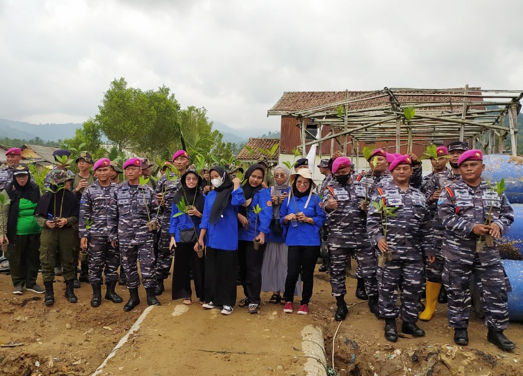 Puslatpurmar 8 Teluk Ratai Turut Penanaman Mangrove Nasional