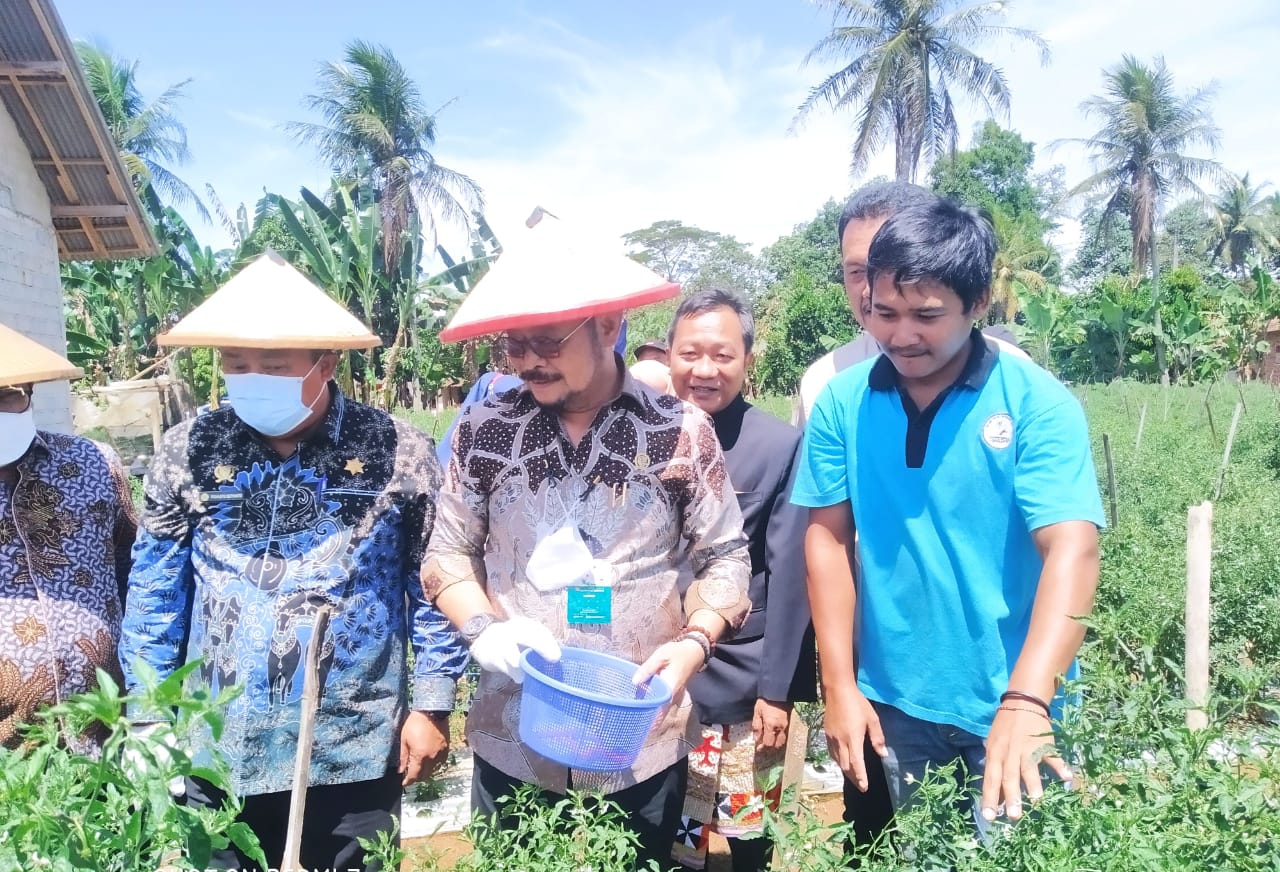 Syahrul Yasin Limpo kunjungi lahan integrated farming di Desa Margorejo, Tegineneng, Pesawaran