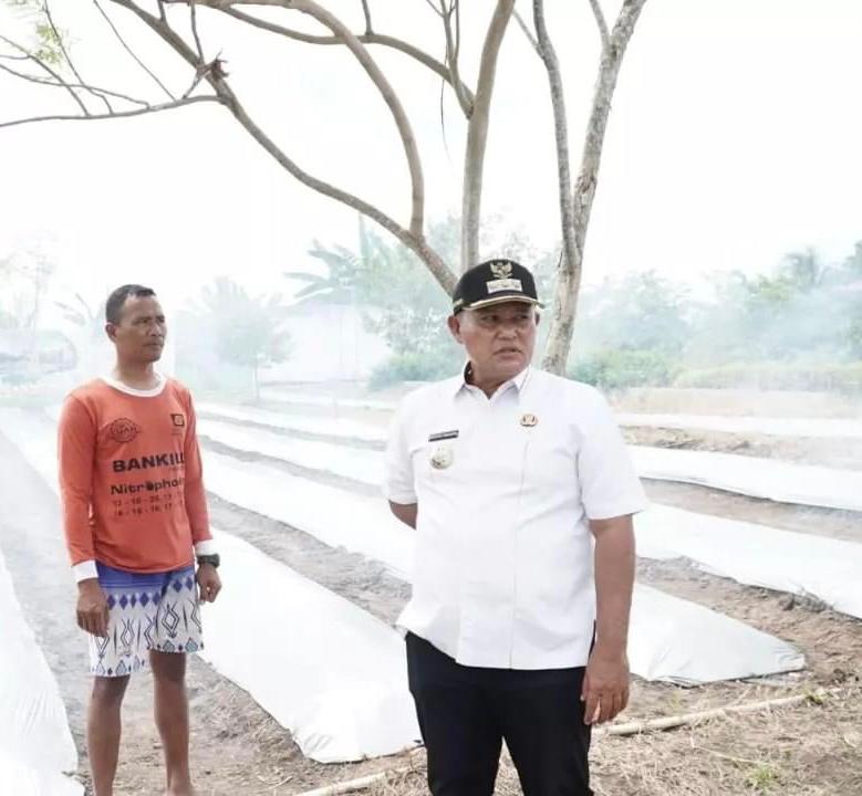 Tahapan Program Petani Millenial Mulai Berjalan, Bupati Lamsel Siap Cetak Agropreneur