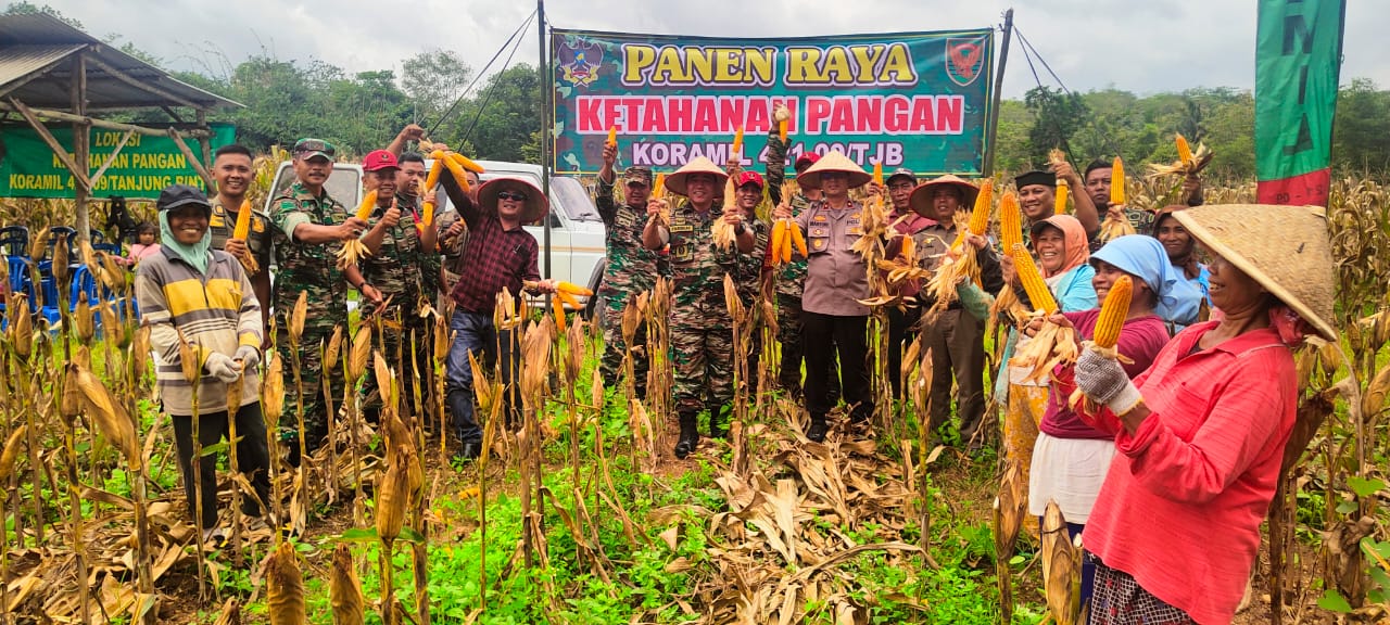 Lahan Kosong Jadi Bidikan Program Unggulan KSAD, Koramil Tanjungbintang Paneng Jagung di Lahan 2,5 hektar