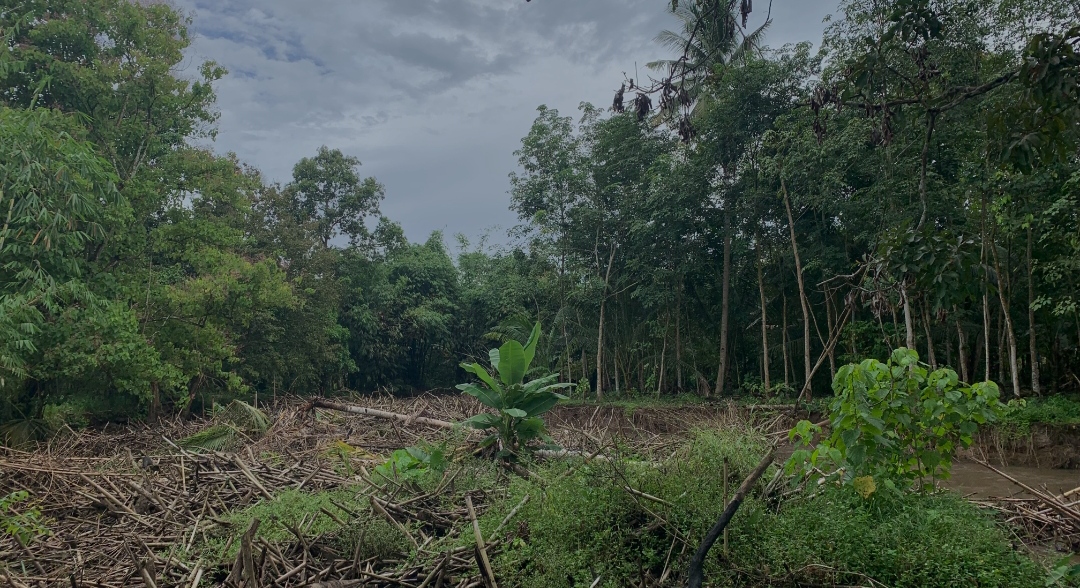 Sudah 1 Tahun Sampah Way Pisang Tak Dikeruk