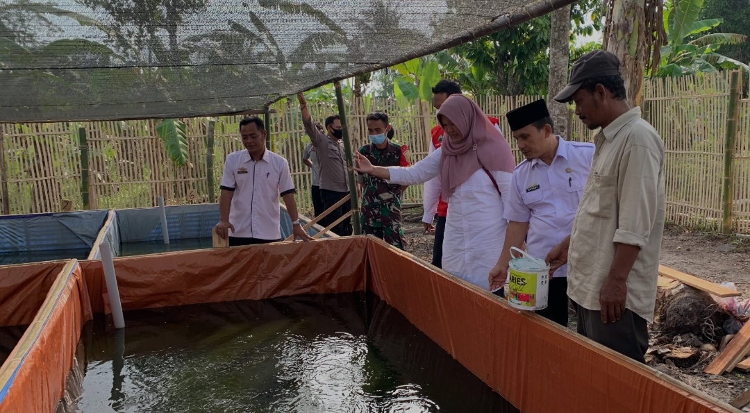 Sarana Pertanian Sokong Ketahanan Pangan Desa Bangunan