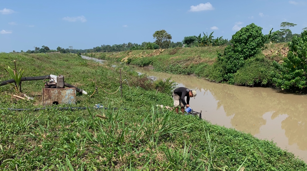 Ketersediaan Air Menipis, Petani Mulai Pompanisasi