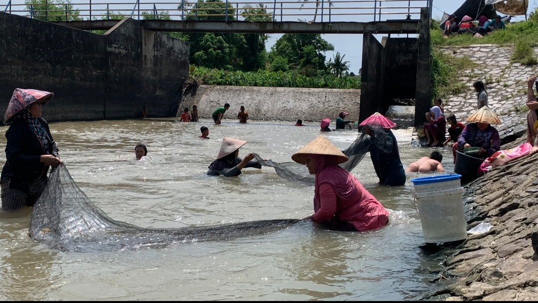 Migrasi Ikan Penuhi Bendungan