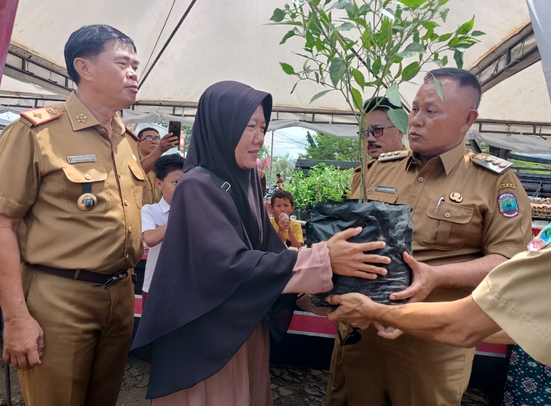 Ajak Warga Tanam Cabai di Pekarangan Rumah