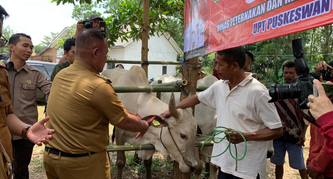 Peternak Sapi Manfaatkan Puskeswan Keliling