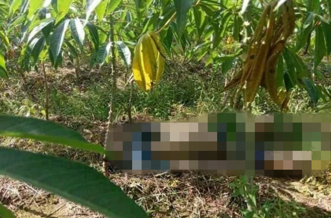 Warga Temukan Mayat Tanpa Identitas di Kebun Singkong