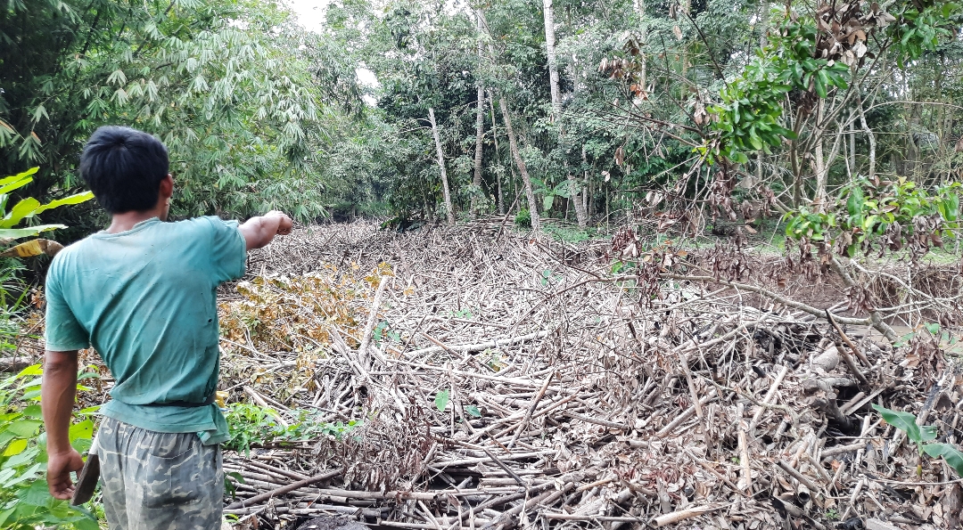 Way Pisang Terceram Sampah, Belum Ditangani